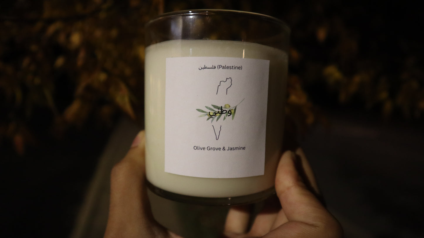 (Palestine) فلسطين Olive Grove & Jasmine